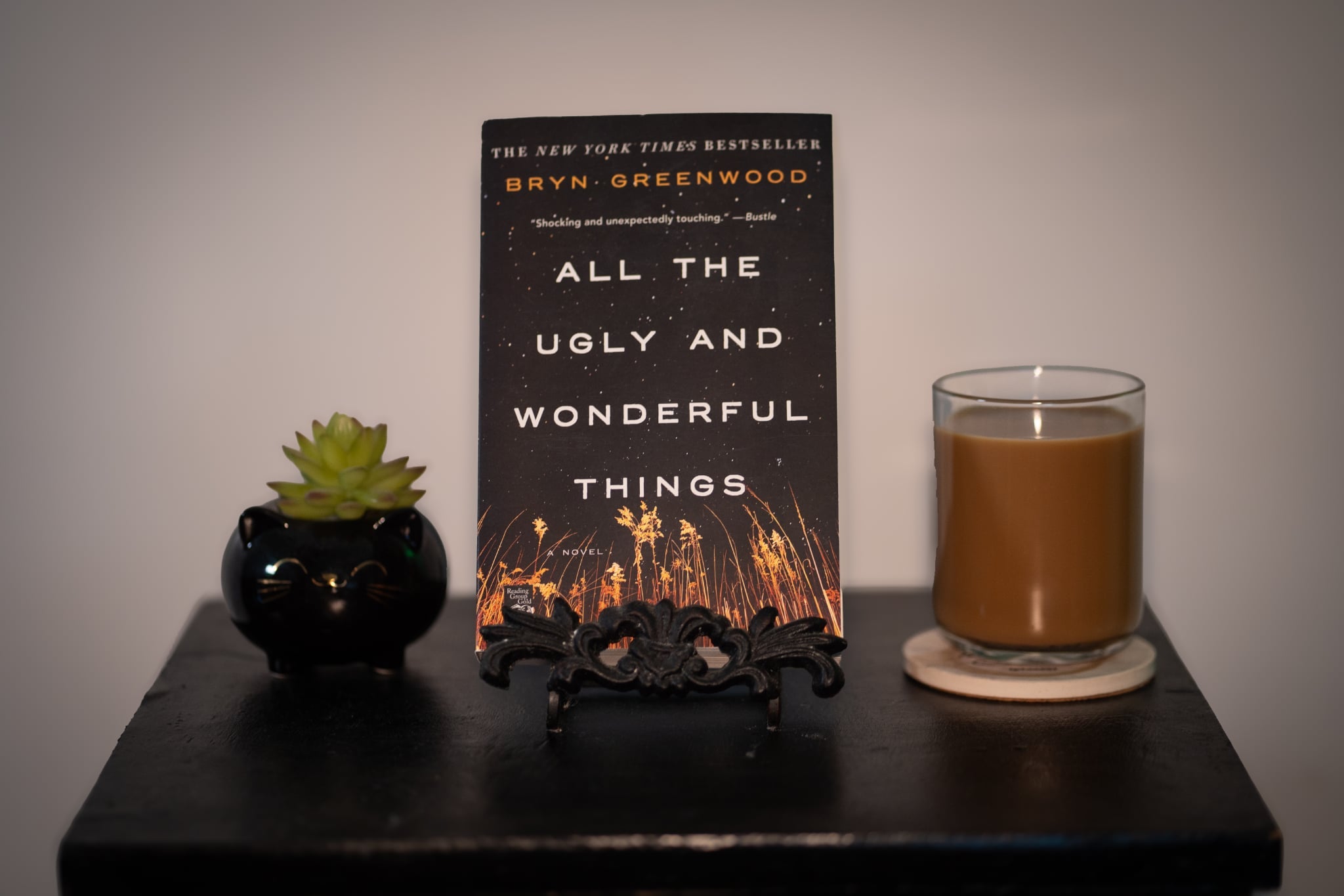 All the Ugly and Wonderful Things - Used